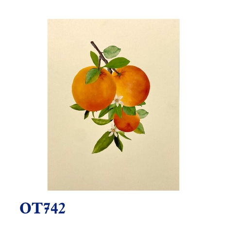 Orange Tree Pop Up Card