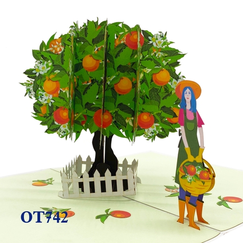 Orange Tree Pop Up Card