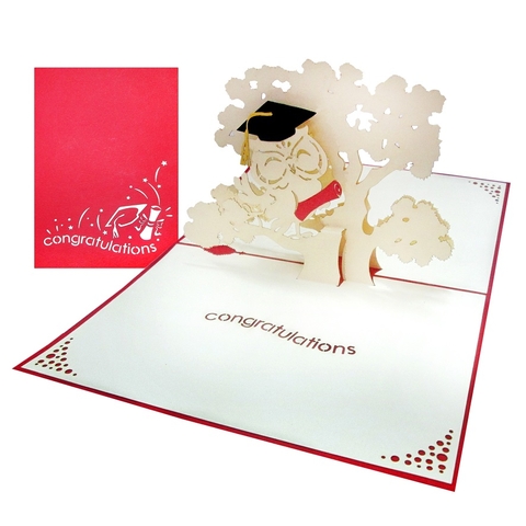 Owl Graduation Pop Up Card