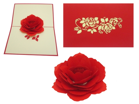 Red Rose Pop Up Card