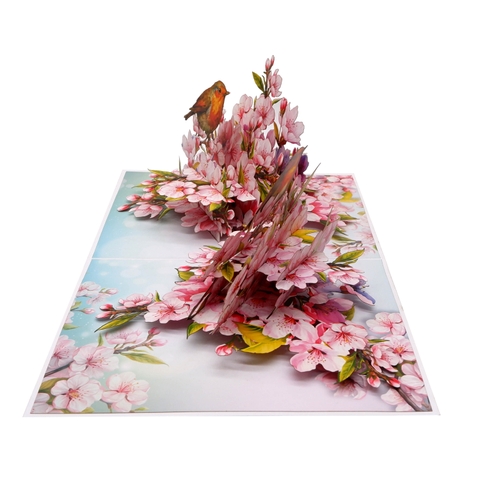Cherry Blossom & Robin Birds 3D Pop Up Card