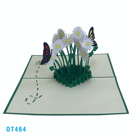 Daisy Garden Pop Up Card