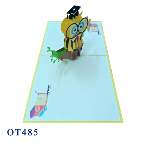 Graduated Owl Pop Up Card