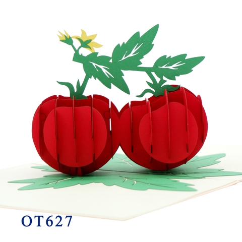 Tomato Pop Up Card