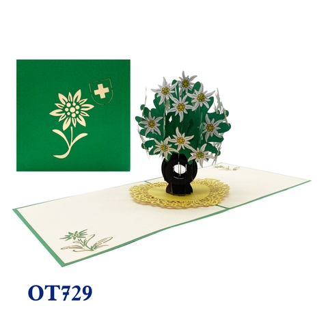 Edelweiss Pot Pop Up Card