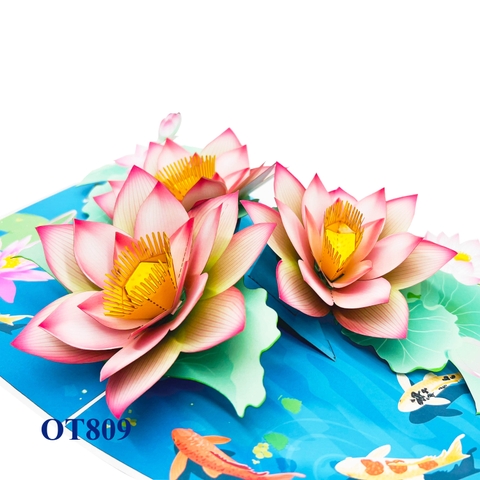 Lotus On The Pond Pop Up Card