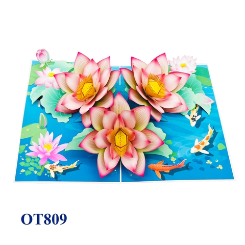 Lotus On The Pond Pop Up Card