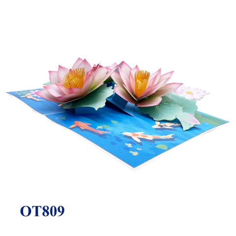 Lotus On The Pond Pop Up Card