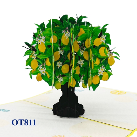 Lemon Tree Pop Up Card