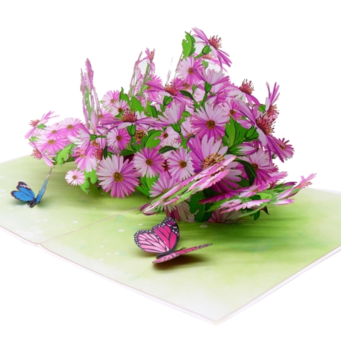 Purple Daisy Pop Up Card