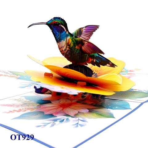 Yellow Anemone Coronaria Flower Hummingbird Pop Up Card