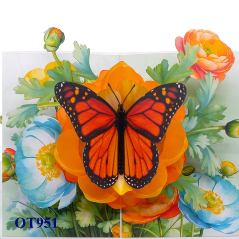 Persian Buttercup & Butterfly 3D Pop Up Greeting Card