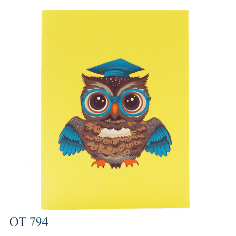 Owl Graduation Pop Up Card