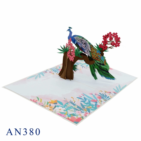 Peacock Pop Up Card