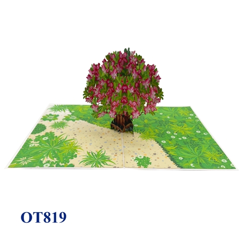 Pink Frangipani Flower Pop Up Greeting Card