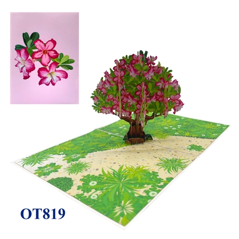 Pink Frangipani Flower Pop Up Greeting Card