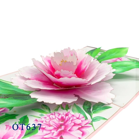 Pink Peony Pop Up Card