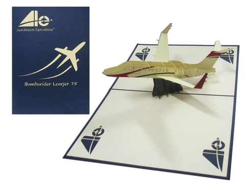 Plane Pop Up Card