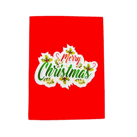 Pointsettia Flowers Basket Pop Up Card