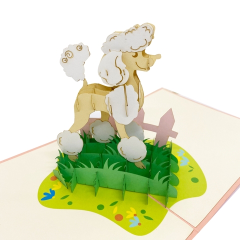 Poodle Pop Up Card