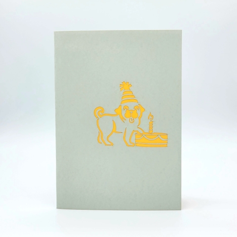 Birthday Pug Pop Up Card