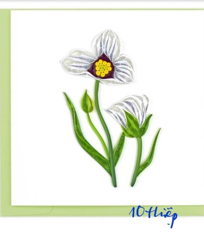 Flower Quilling Greeting Card