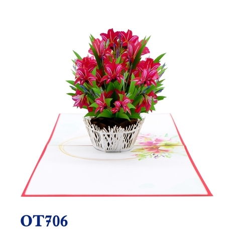 Red Amaryllis Pop Up Card