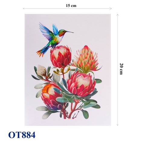 Red Waratah Flower Hummingbird Pop Up Card