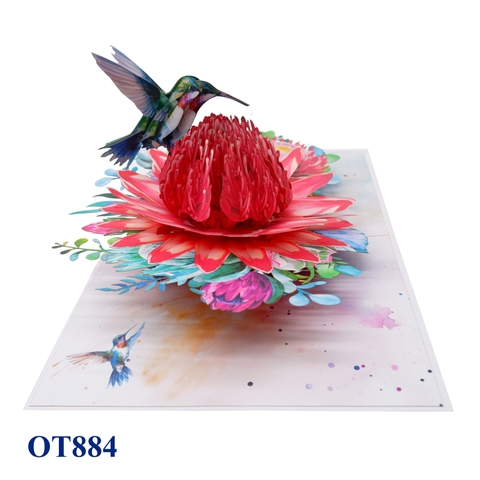 Red Waratah Flower Hummingbird Pop Up Card