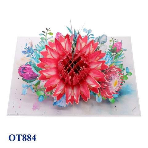 Red Waratah Flower Hummingbird Pop Up Card