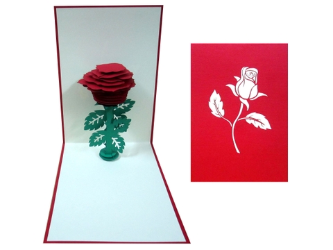 Rose Pop Up Card