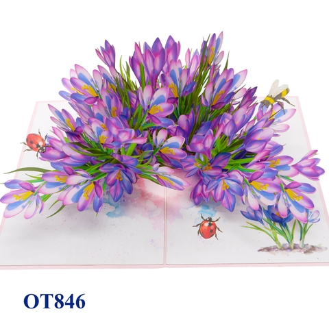 Saffron Garden Pop Up Card