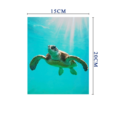 Sea Turtle Pop Up Card