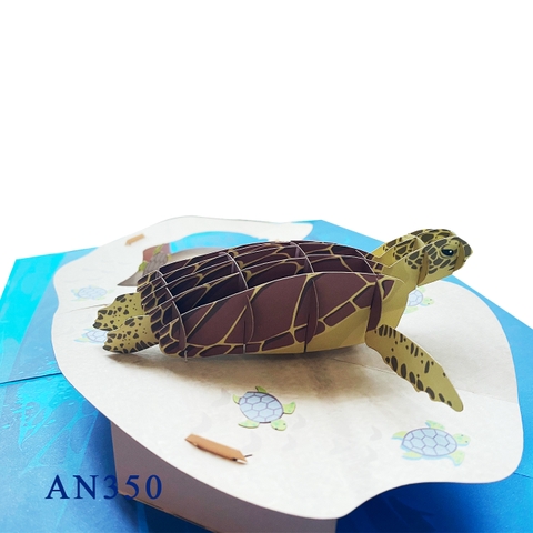 Sea Turtle Pop Up Card