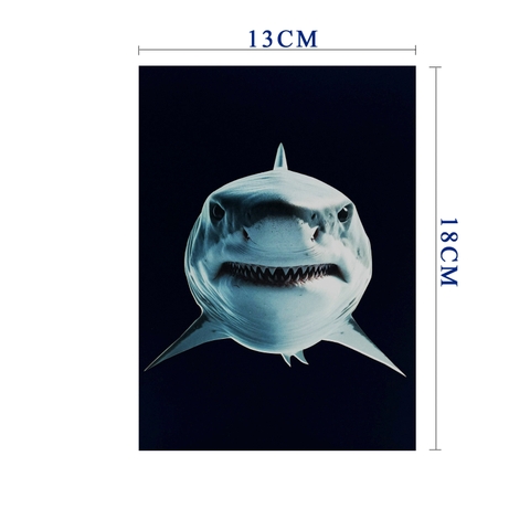 Shark 3D Pop Up Greeting Card