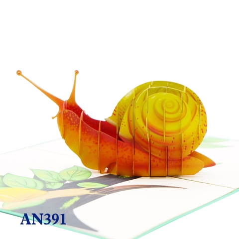 Snail Pop Up Card