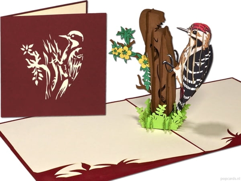 Woodpecker Pop Up Card