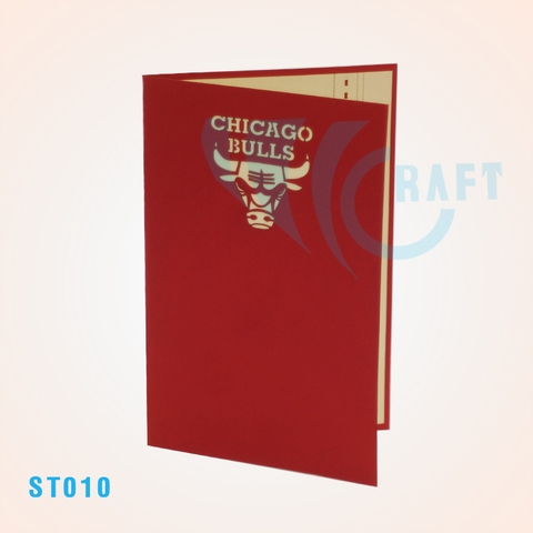 Chicago Bulls Stadium Pop Up Card