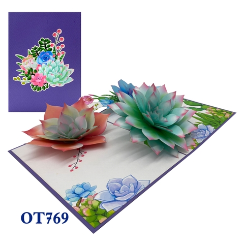 Succulents Pop Up Card