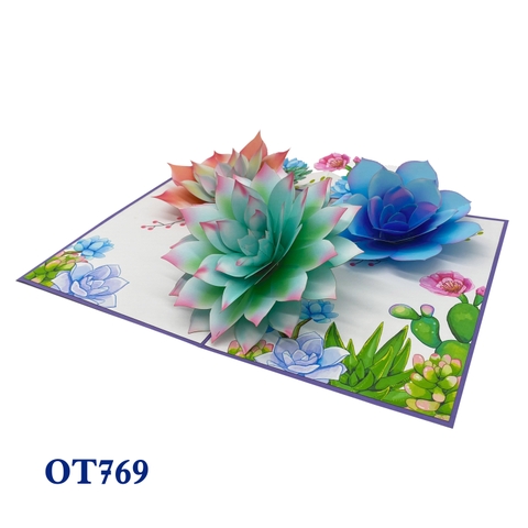 Succulents Pop Up Card