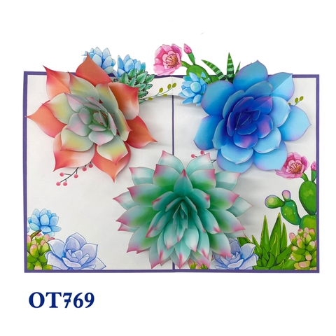 Succulents Pop Up Card