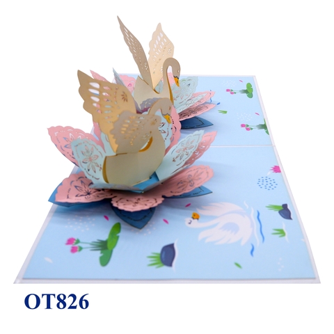 Swans Pop Up Card
