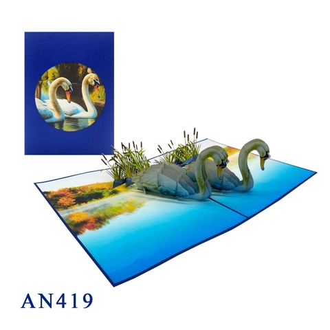 Swans Pop Up Card