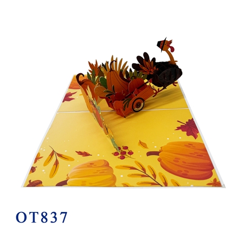 Thanks Giving Pop Up Card