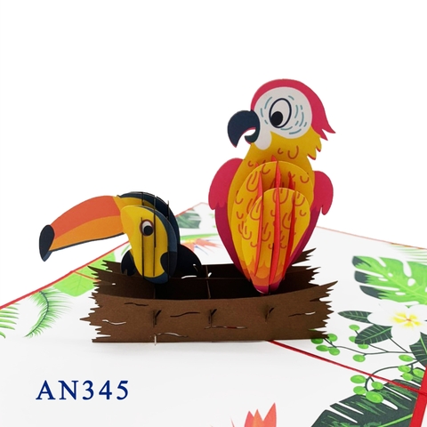 Tropical Bird Pop Up Card