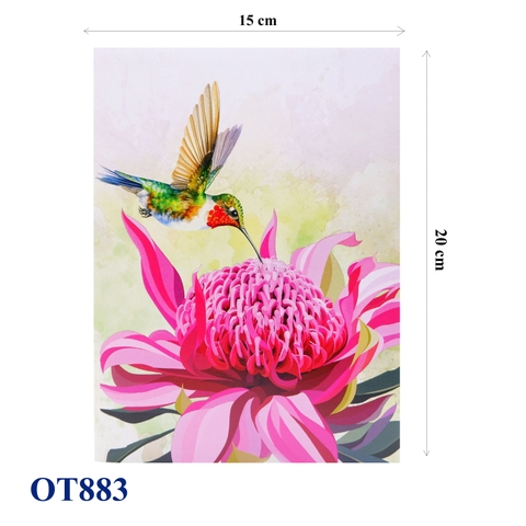 Pink Waratah Flowers Hummingbird Pop Up Card