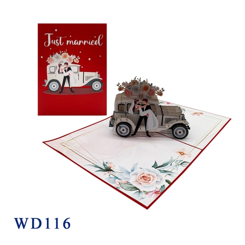 Wedding Car Just Married Pop Up Card