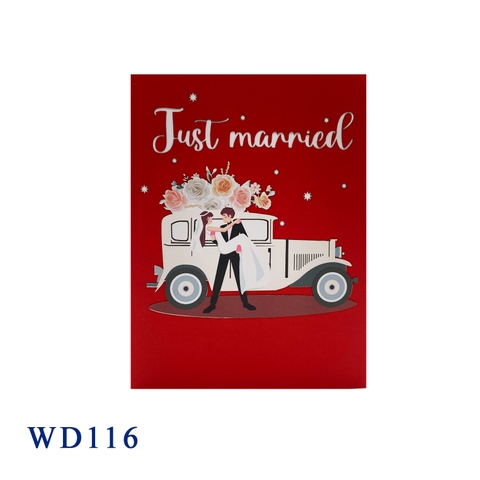 Wedding Car Just Married Pop Up Card