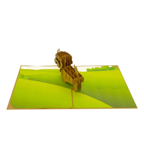 West Highland Terrier Pop Up Card