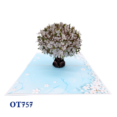 White Cherry Blossom Pop Up Card